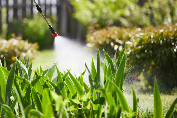 Tamper-Resistant Bait Stations for Rodents in Flordell Hills