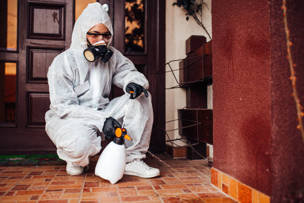 Attic and Crawl Space Rodent Treatment in Flordell Hills