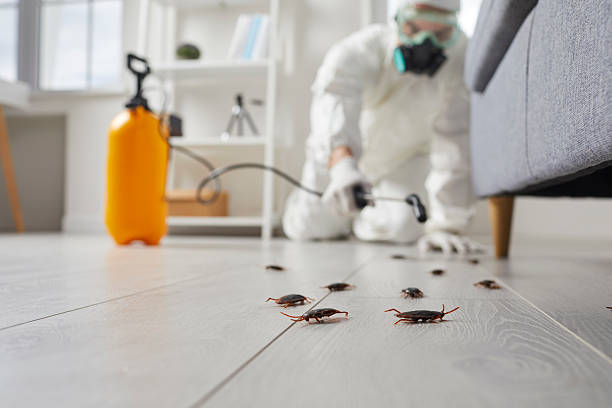Commercial Rodent Management in Flordell Hills